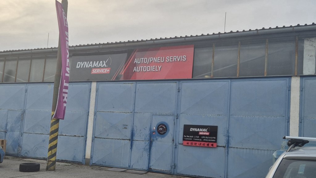Dynamax Service +